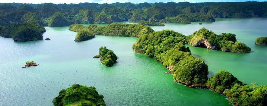 Parque Nacional Los Haitises — manglares y mogotes kársticos