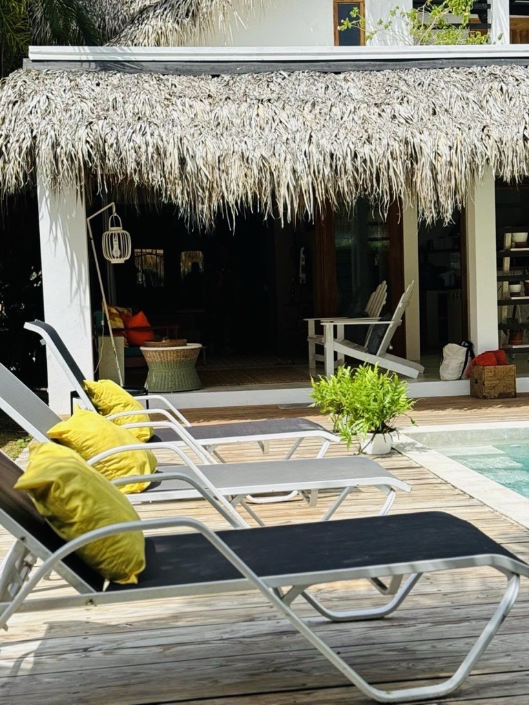 Terraza exterior techada con sillón y vistas al jardín en Las Terrenas